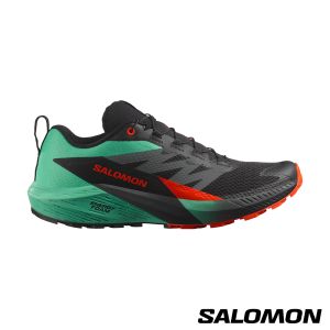 Salomon 男 SENSE RIDE 5 野跑鞋 黑/灣綠/櫻茄紅